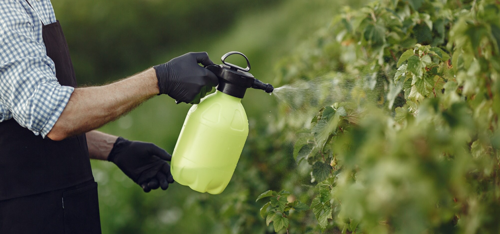 granjero con guantes rociando liquido a las plantaciones
