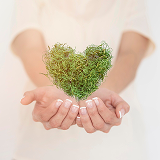 dos manos sosteniendo un corazon de cesped