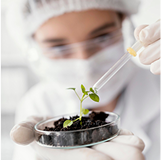 un cientifico extrayendo una planta